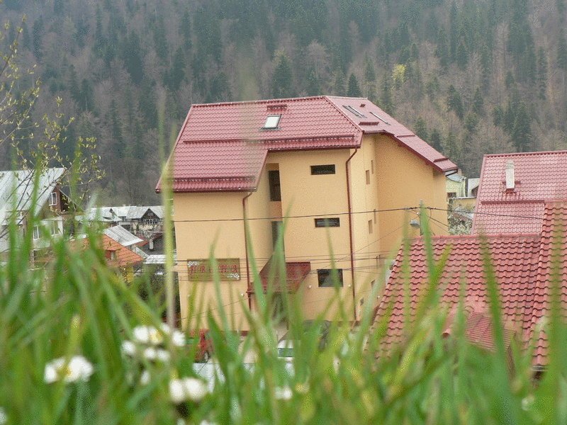 Hotel FLORA ALPINA - Azuga