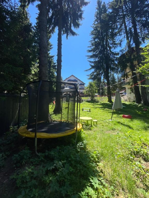 Hotel . Pensiunea CARPATIC  - Predeal