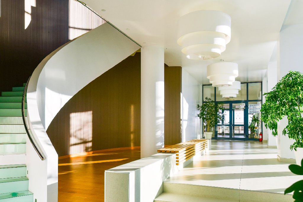 Hotel HOTEL ZENITH. - Mamaia